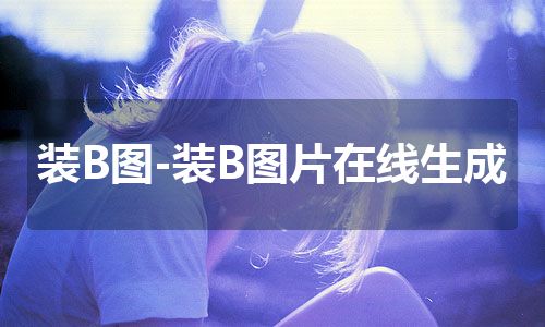 装B图-装B图片在线生成