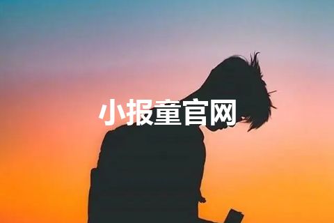 小报童官网