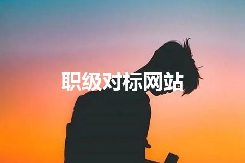 职级对标网站