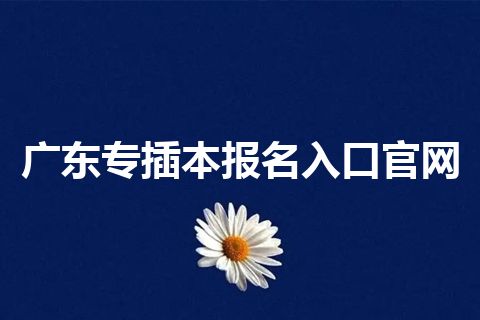 广东专插本报名入口官网