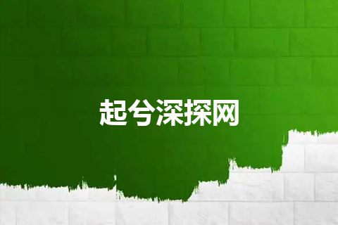 起兮深探网