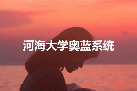 河海大学奥蓝系统