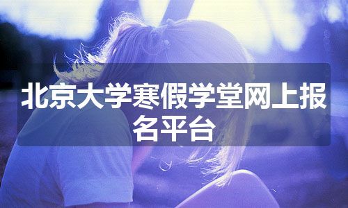 北京大学寒假学堂网上报名平台