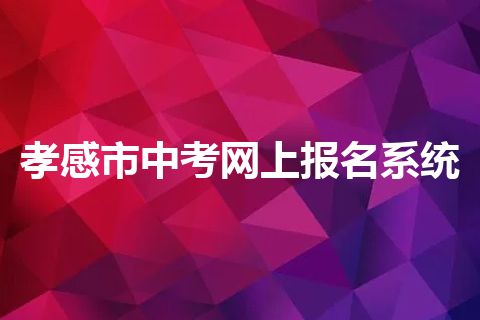 孝感市中考网上报名系统