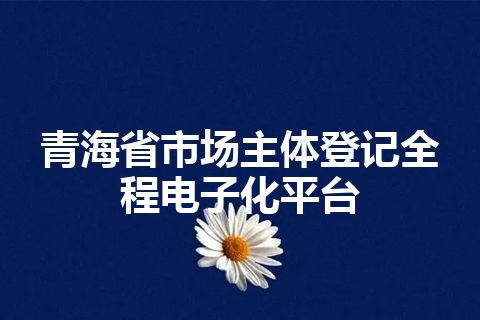 青海省市场主体登记全程电子化平台