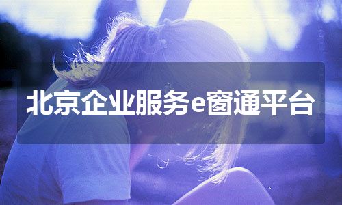 北京企业服务e窗通平台