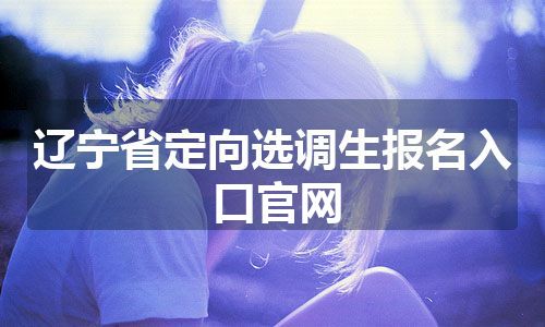 辽宁省定向选调生报名入口官网