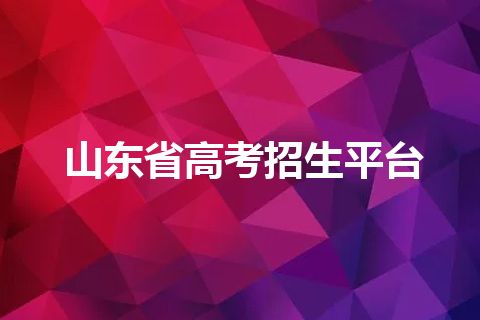 山东省高考招生平台