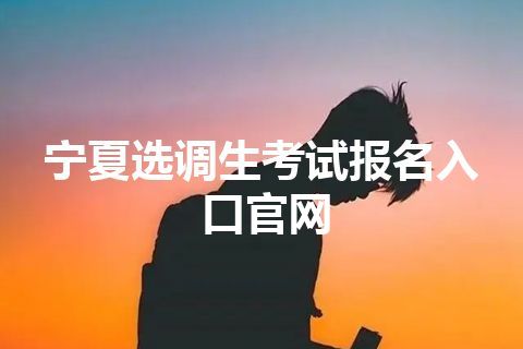 宁夏选调生考试报名入口官网