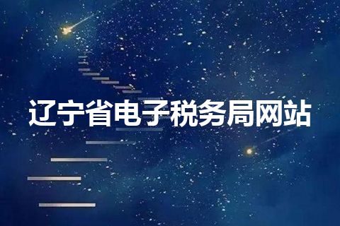 辽宁省电子税务局网站