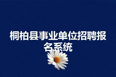 桐柏县事业单位招聘报名系统