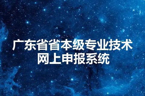 广东省省本级专业技术网上申报系统