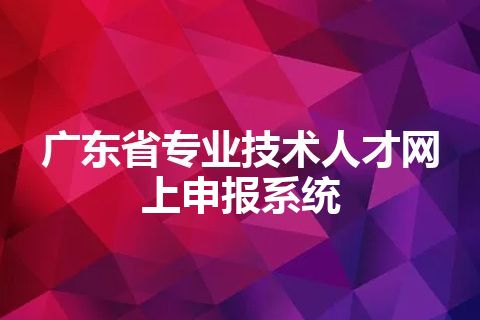 广东省专业技术人才网上申报系统