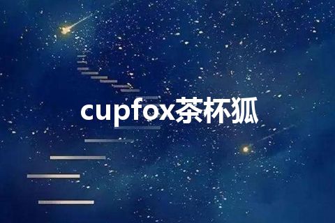 cupfox茶杯狐