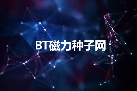 BT磁力种子网