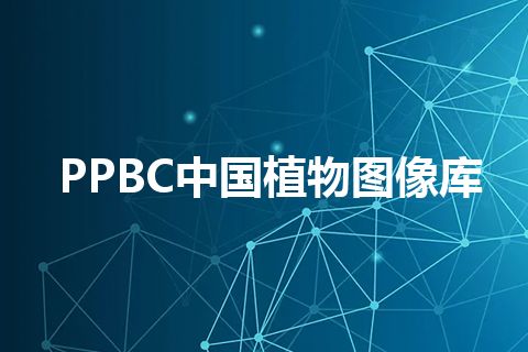 PPBC中国植物图像库