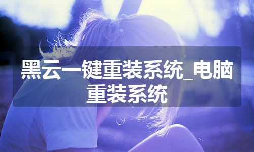 黑云一键重装系统_电脑重装系统