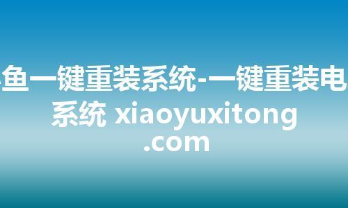 小鱼一键重装系统-一键重装电脑系统 xiaoyuxitong.com