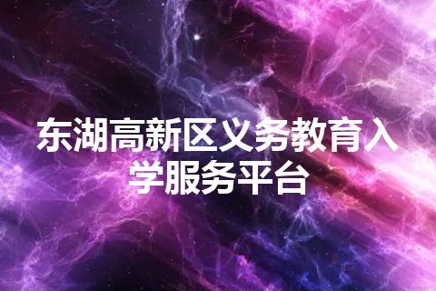 东湖高新区义务教育入学服务平台