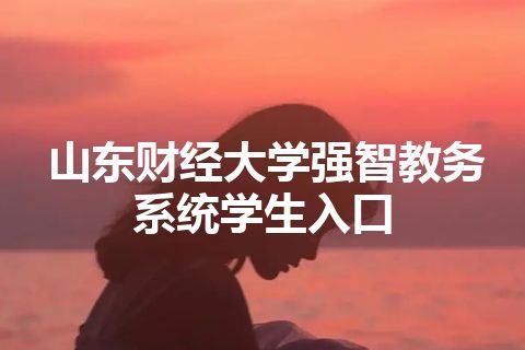 山东财经大学强智教务系统学生入口