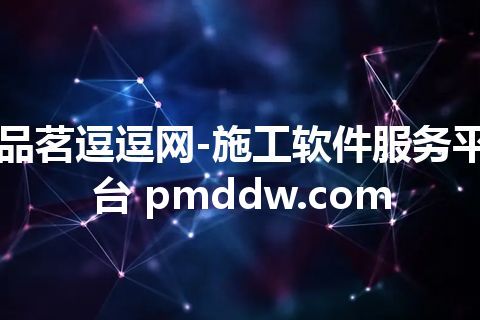 品茗逗逗网-施工软件服务平台 pmddw.com