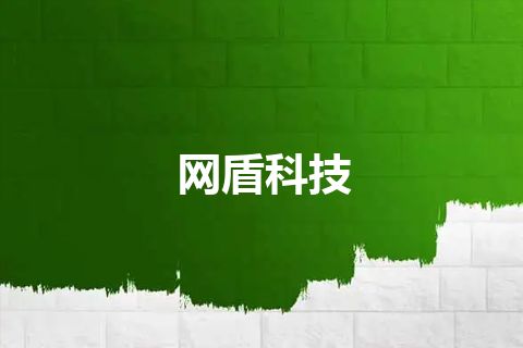 网盾科技