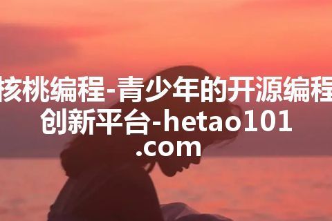 核桃编程-青少年的开源编程创新平台-hetao101.com