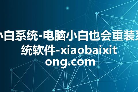 小白系统-电脑小白也会重装系统软件-xiaobaixitong.com