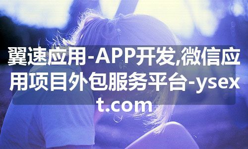 翼速应用-APP开发,微信应用项目外包服务平台-ysext.com