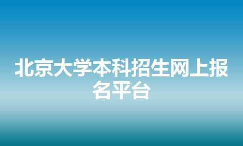 北京大学本科招生网上报名平台