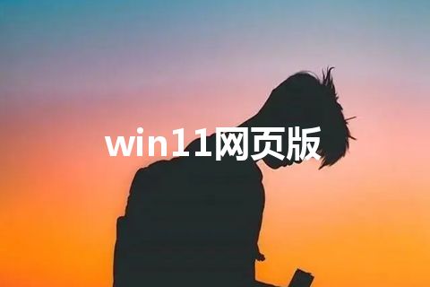 win11网页版