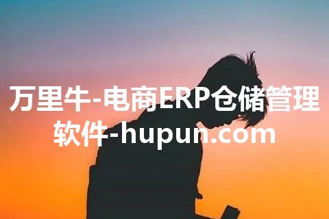 万里牛-电商ERP仓储管理软件-hupun.com