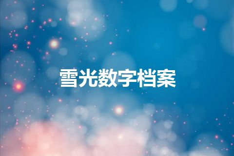 雪光数字档案