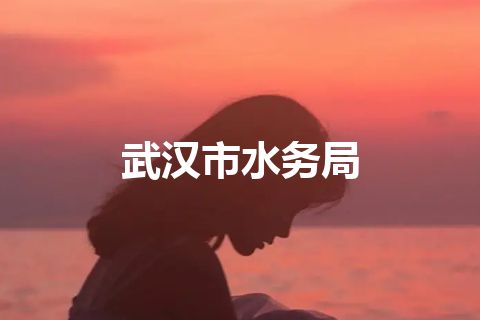 武汉市水务局