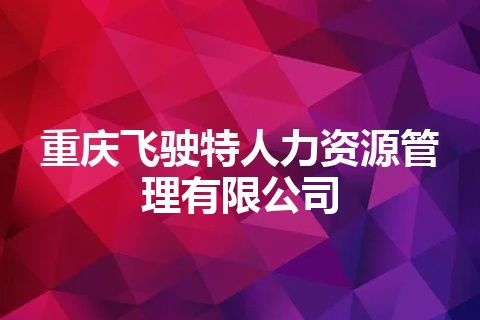 重庆飞驶特人力资源管理有限公司