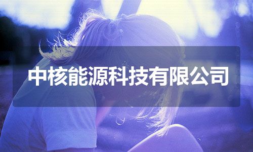 中核能源科技有限公司