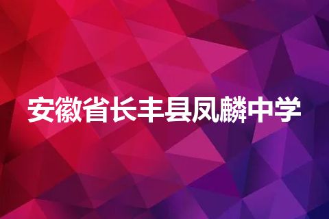 安徽省长丰县凤麟中学
