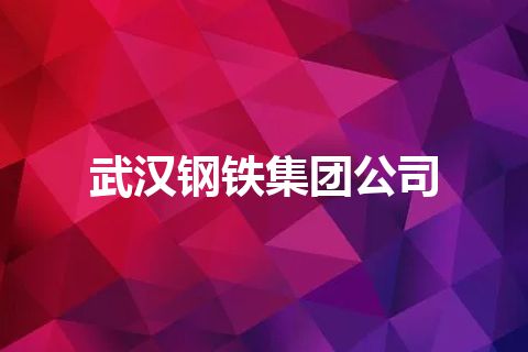 武汉钢铁集团公司