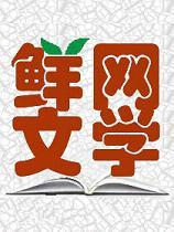 鲜网文学logo图标