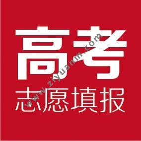 AI志愿助手logo图标