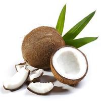 Coconutlogo图标